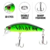 ce9b2f0880ab274170ae1be91bcb2c63 5PCS Minnow Fishing Lure Set