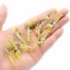 cn-11134207-7r98o-lqvb3xug5i25bb Glow Shrimp Fishing Lure