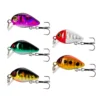 cn-11134207-7r98o-loxmf8u99o7r2f Mini Crankbait Lure Set 5pcs