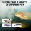 8PCS Fly Fishing Flies Kit
